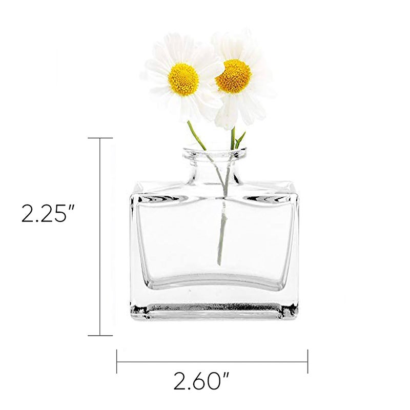 CHIVE â€˜Loftâ€™ Small Mini Flower Vases - Clear Glass Bud Vases, Set of 10 Color - Cute Vintage Rustic Centerpieces for Wedding, Events & Home - Premium Quality, Designed to Last - Image 3
